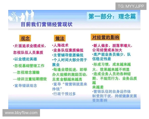 南京排球队的战术创新与运营体系探析