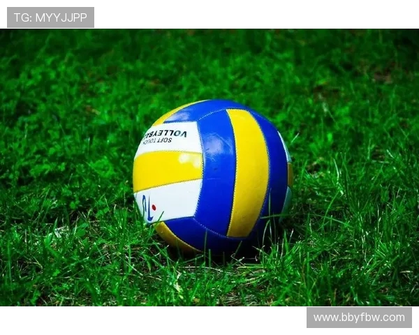 武汉排球队：速度与激情的完美结合探索排球的魅力与竞技精神